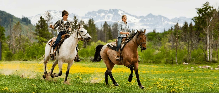 Confident plus-size woman riding Stourbridge a horse through a field with a smile on her face.